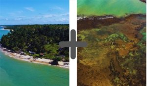 Passeio turístico para a praia do Satú e recife de corasis de tatuaçu