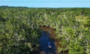 Passeio ecológico no Rio Caraíva